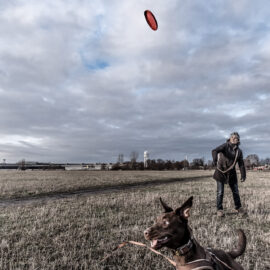 Tempelhofer Feld Tempelhofer Feld